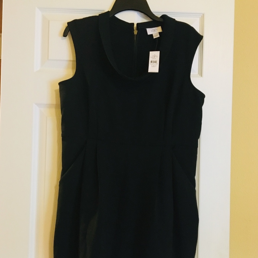 Black LOFT shift dress, size 14p, NWT